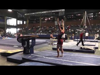Kevin Baker - Vault - 2013 Winter Cup Prelims