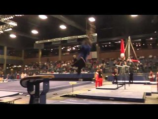 Kiwan Watts - Vault - 2013 Winter Cup Prelims