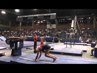 Marty Strech - Vault - 2013 Winter Cup Prelims
