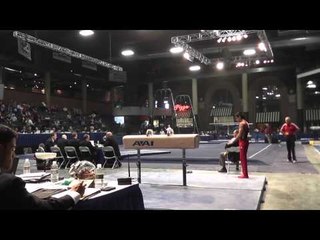 Akash Modi - Pommel Horse - 2013 Winter Cup Prelims
