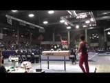 Alex Naddour - Pommel Horse - 2013 Winter Cup Prelims
