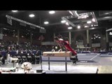 Marty Strech - Pommel Horse - 2013 Winter Cup Prelims