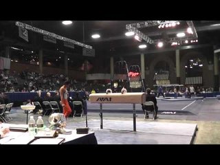 Masayoshi Mori - Pommel Horse - 2013 Winter Cup Prelims