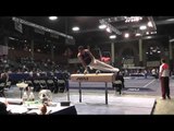 Chad Mason - Pommel Horse - 2013 Winter Cup Prelims