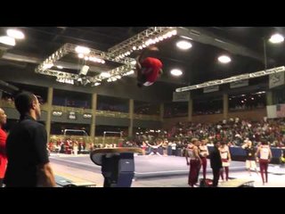 Donnell Whittenburg - Vault - 2013 Winter Cup Finals