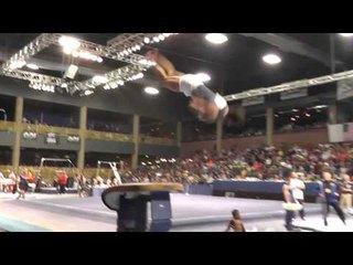 Paul Ruggeri - Vault - 2013 Winter Cup Finals