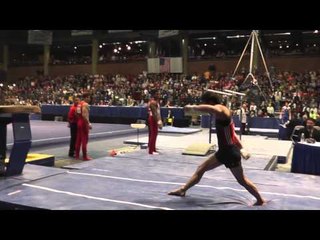 Glen Ishino - Vault - 2013 Winter Cup Finals