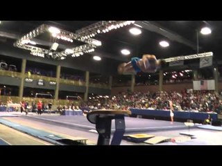 Fabian DeLuna - Vault - 2013 Winter Cup Finals