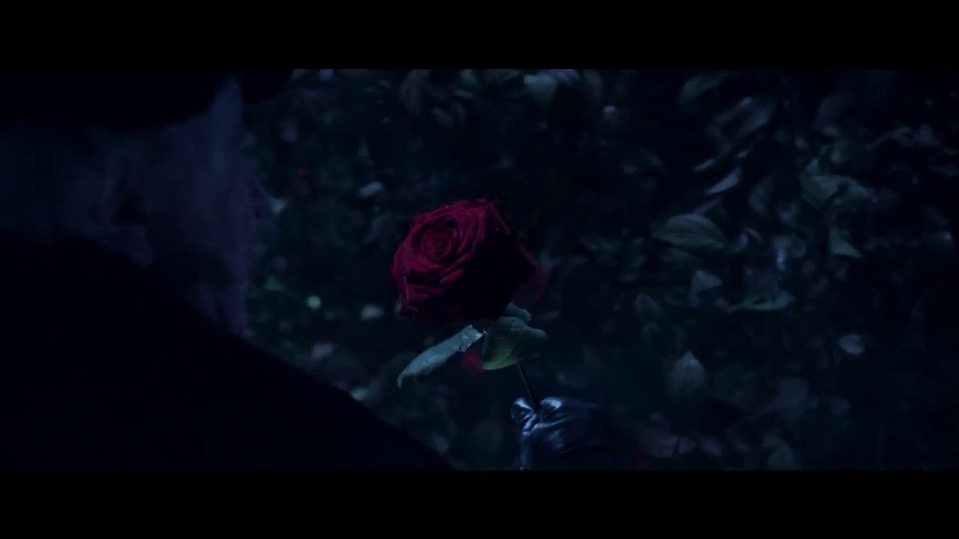 Beauty and the Beast - Clip: The Rose - video Dailymotion
