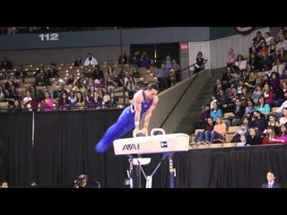 Danell Leyva - Pommel Horse - 2013 AT&T American Cup