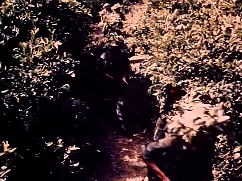Special Forces_ The Hidden War in Vietnam 1963; James Arness