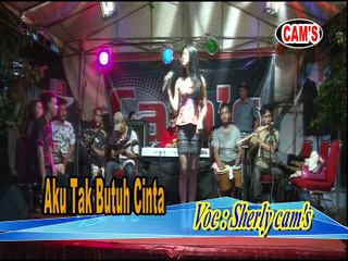 Aku Tak Butuh Cinta (Sherly)