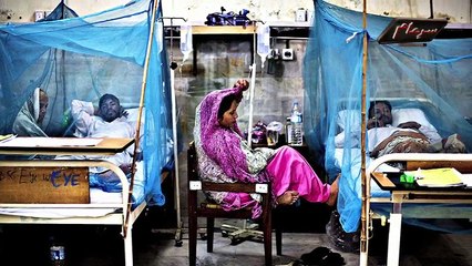 ‫ پاکستان میں ڈینگی بے قابو!...‬