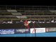 Sam Mikulak - High Bar - 2013 World Championships - All-Around Finals