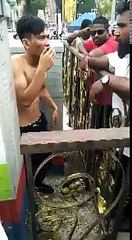 Kantoi Meragut Lelaki Tanpa Baju Dikurung Depan Kuil Batu Caves