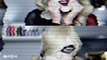 Harley Quinn Makeup Tutorial | Costume also painted