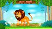 Lets Learn About Wild Animals - Preschool Learning in Marathi | Types Of Domestic Animals