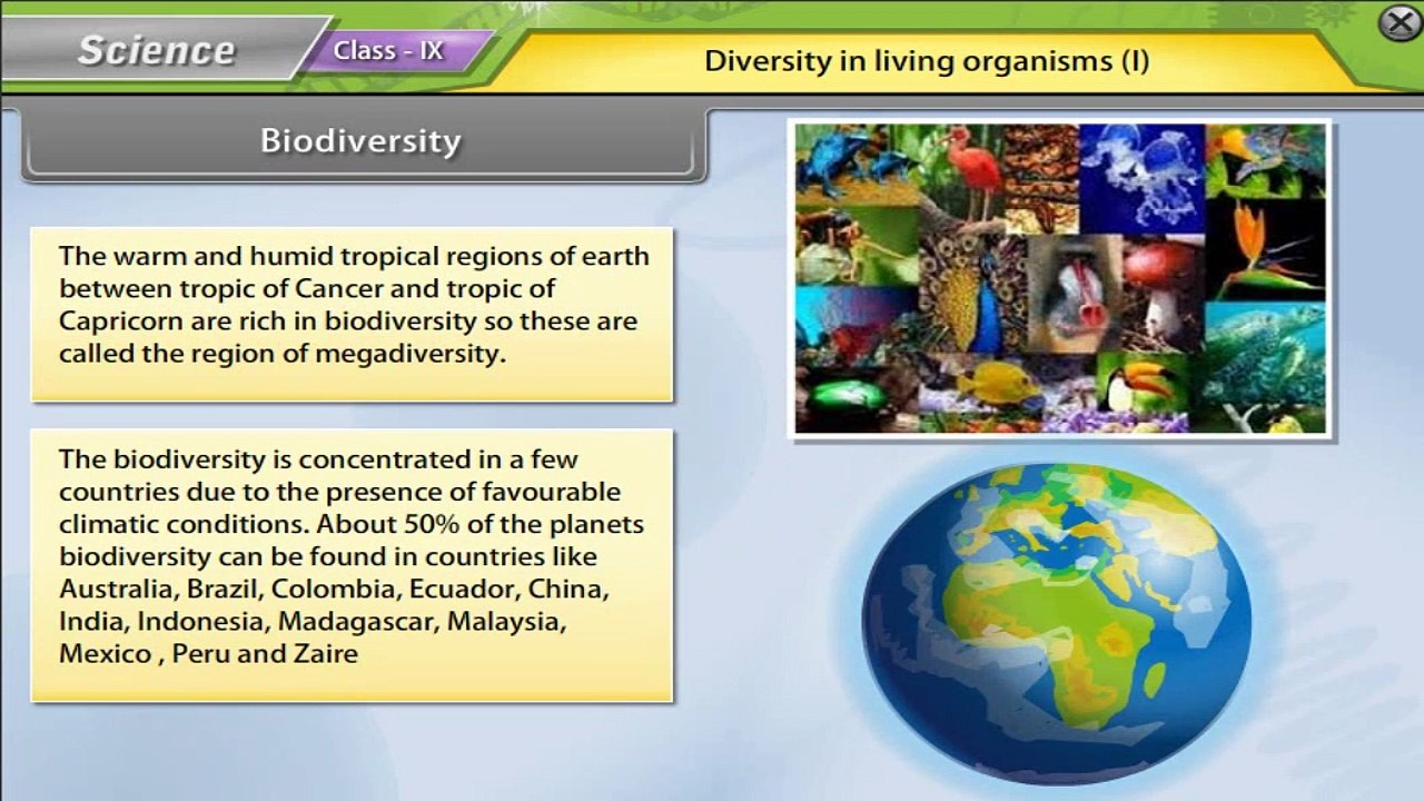 Diversity in Living Organisms I : CBSE Class 9 Science Animated Video Lectures in English & Hindi