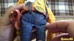 Sheriff Woody Action Figure Toy Story Disney Woody collection toy Cowboy Toys for kids The Sheriff