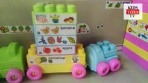 Building Blocks Toys for Children learn Colors Part 2 | KIDSTOYS TV