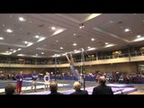 Maxim Andryushchenko – High Bar – 2015 Winter Cup Prelims