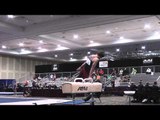Robert Neff - Pommel Horse - 2015 Winter Cup Prelims