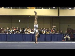 Michael Burns – Floor – 2015 Winter Cup Prelims