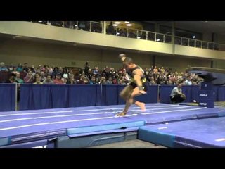 Stacey Ervin - Vault - 2015 Winter Cup Finals