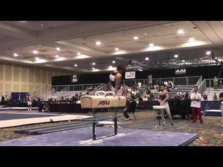 Davis Grooms - Pommel Horse - 2015 Winter Cup Prelims