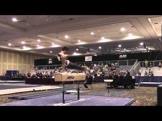 Peter Daggett - Pommel Horse - 2015 Winter Cup Prelims