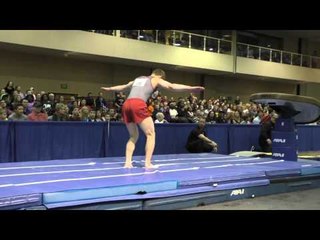 Ryan Sheppard - Vault - 2015 Winter Cup Finals