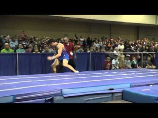 Peter Daggett - Vault - 2015 Winter Cup Finals