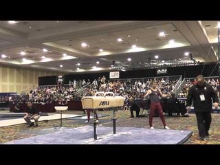Ryan Sheppard - Pommel Horse - 2015 Winter Cup Finals