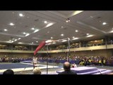 Danny Berardini – High Bar – 2015 Winter Cup Finals