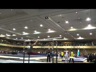 Robert Neff - Parallel Bars - 2015 Winter Cup Finals