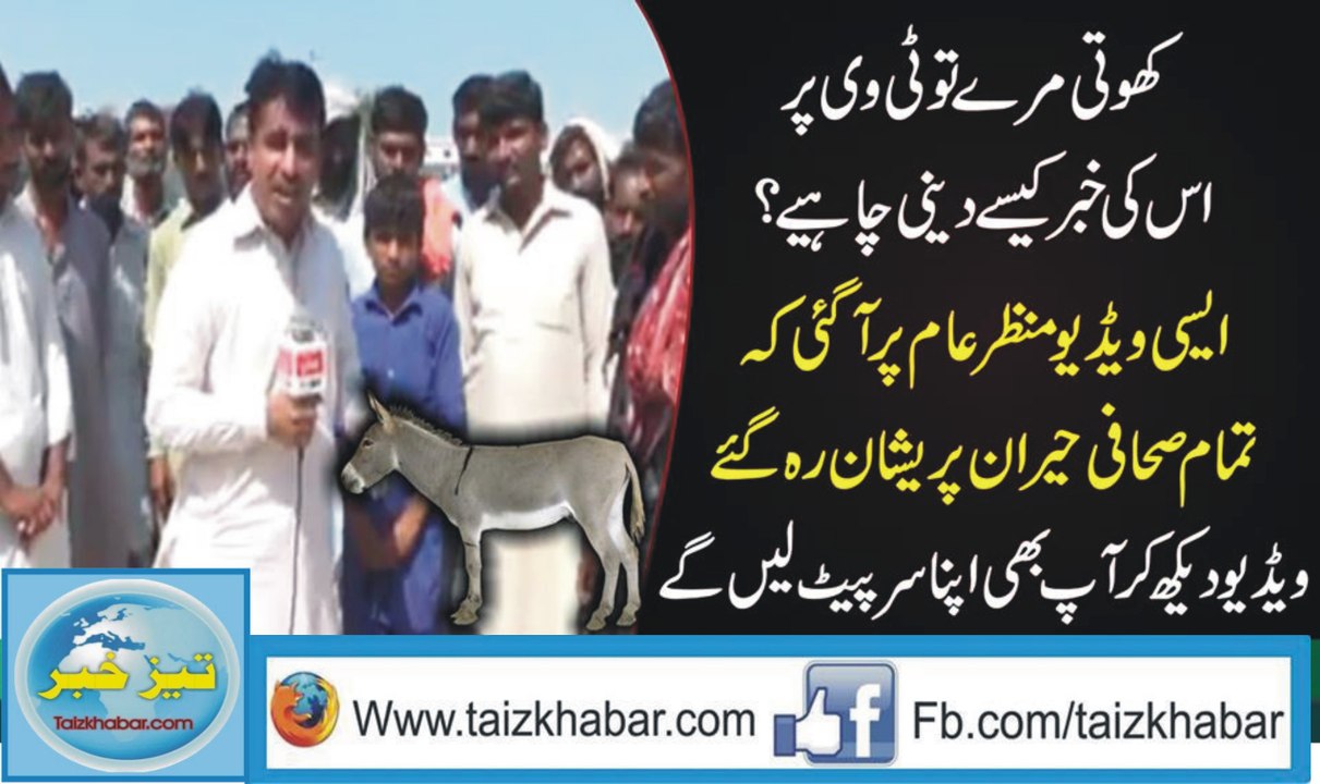 When A Donkey Died Then How Does A TV Reporter Describe It?