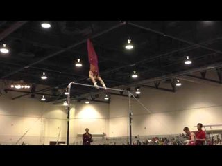 Zach Liebler – High Bar – 2016 Winter Cup Prelims