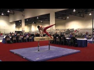 Levi Anderson - Pommel Horse - 2016 Winter Cup Prelims
