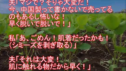 【スカッとする話】トメ『農家の人って怖いわ～、お米に農薬だなんて！人ゴロしねぇ！』空気ウト『嫁子さんの妹さんとこは知らないけど一理あるな』→私『トメさんのそのＴシャツもｗ』→