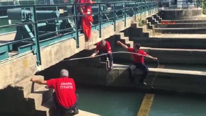 Adana İtfaiyeciler Yavru Kediyi Boğulmaktan Kurtardı