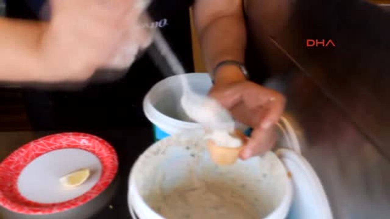 Çanakkale Bozcaada'da Kalamar Festivali