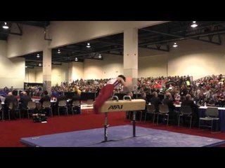 Allan Bower - Pommel Horse - 2016 Winter Cup Finals