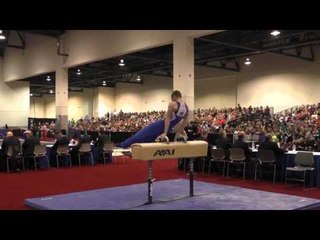 Matthew Wenske - Pommel Horse - 2016 Winter Cup Finals