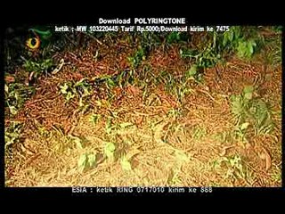 AKU MASIH SAYANG#ST 12#INDONESIA#LEFT