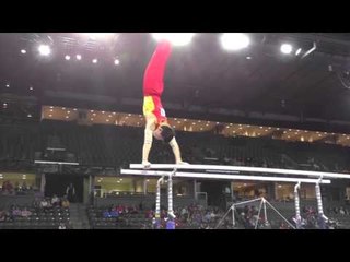Wang Peng (CHN) - Parallel Bars - 2016 Pacific Rim Championships Team/AA Final