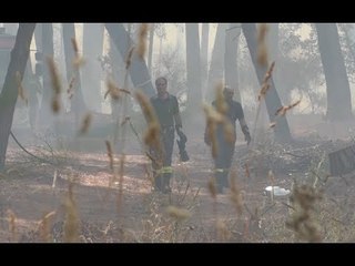 Скачать видео: Vesuvio, allarme degli ingegneri: dopo incendi rischio frane (31.07.17)