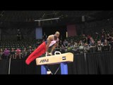 Donnell Whittenburg (USA) - Pommel Horse - 2016 Pacific Rim Championships Team/AA Final