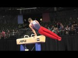 Eddie Penev (USA) - Pommel Horse - 2016 Pacific Rim Championships Team/AA Final