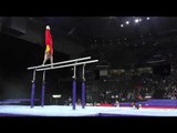 Cai Weifeng (CHN) - Parallel Bars Final - 2016 Pacific Rim Championships