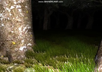 Slender #11 Survivors